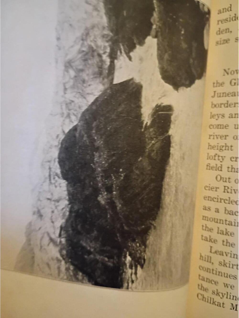 A Little Journey Through Alaska by R Leslie Gordon Library of Travel 1936 - Picture 8 of 9